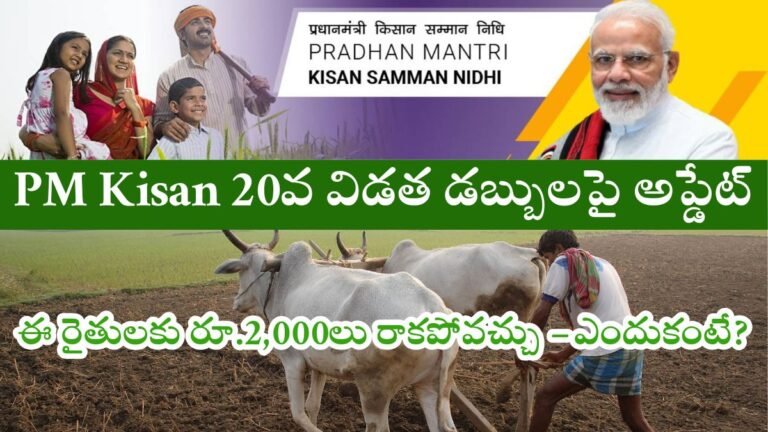 PM Kisan Payment Update 2025