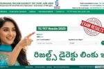 TG TET Results 2025 Direct Link Here