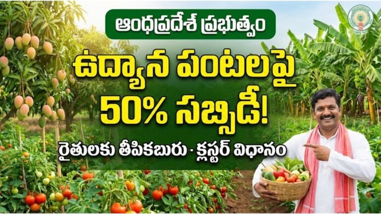 AP Horticulture Subsidy Scheme Application Process