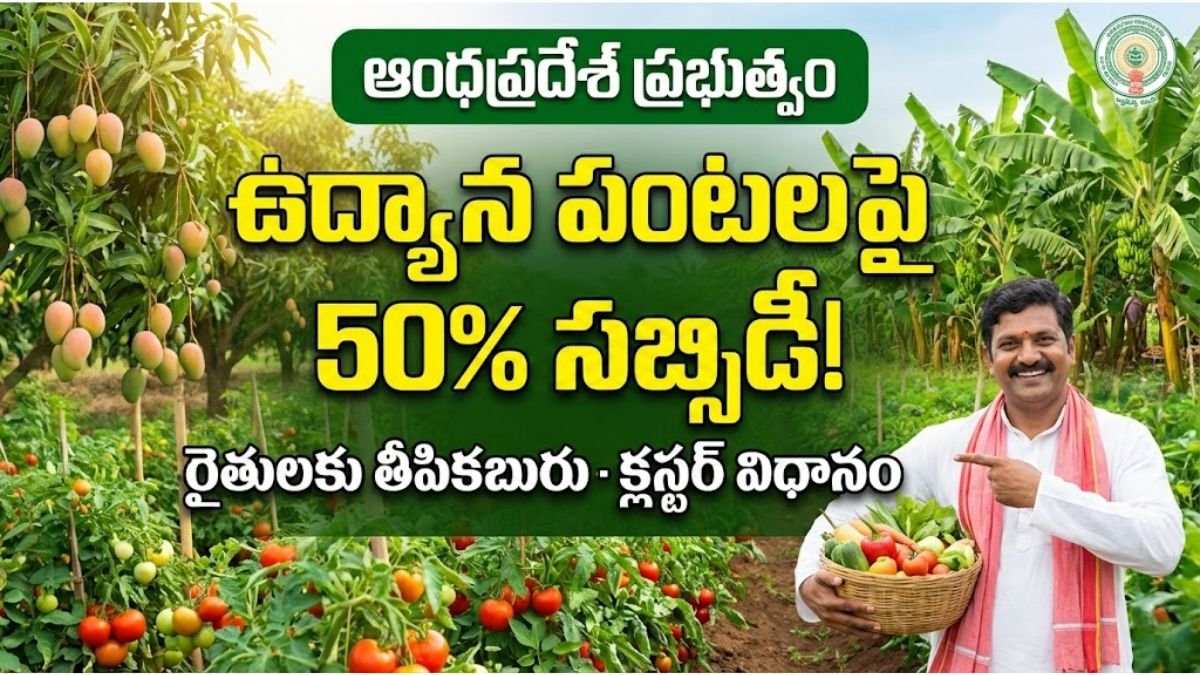 AP Horticulture Subsidy Scheme Application Process