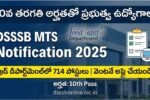 DSSSB MTS Notification 2025